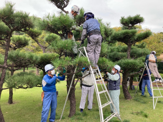 剪定講習会